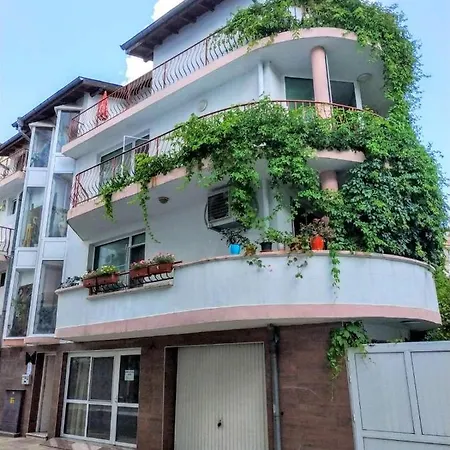 Sun Apartment *